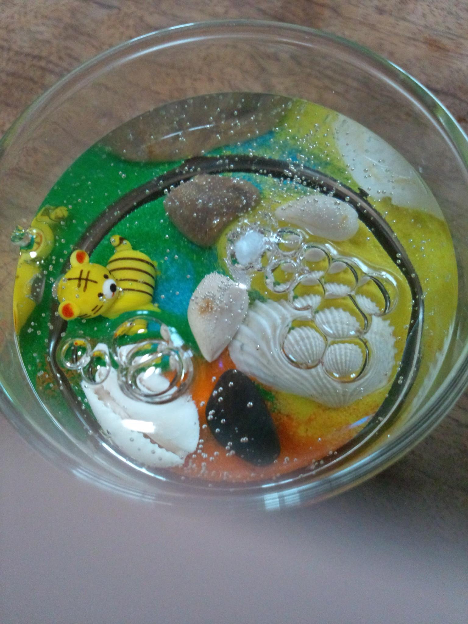 �ʐ^�F�L�����h�����ォ��B�e��������