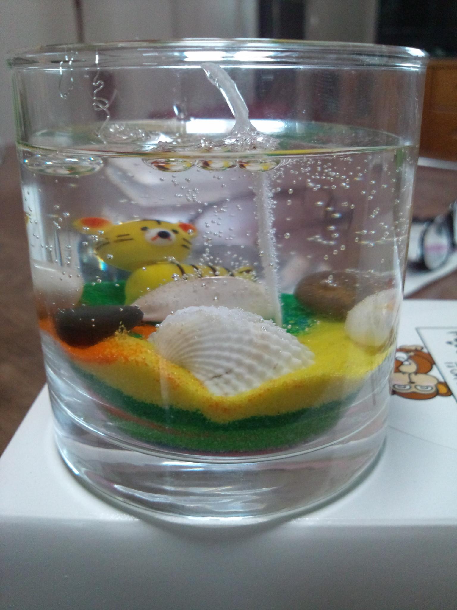 �ʐ^�F�L�����h����������B�e��������