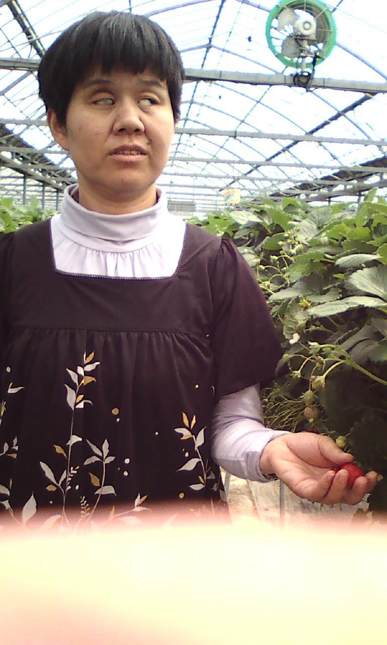 �ʐ^�F�C�`�S�����y���ރL���`������